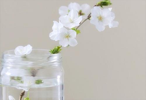 Tử vi Chủ nhật ngày 18/2/2018 của 12 con giáp