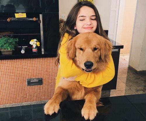 Năm Tuất bàn về những điều thú vị về loài chó