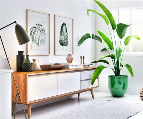 Những NGƯỜI MỆNH KHUYẾT MỘC không biết điều này sẽ hối hận