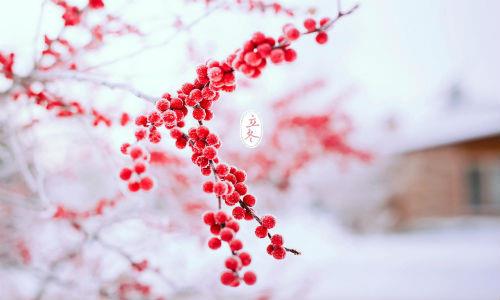 Tiết Lập Đông 2018 là ngày nào? Cần đặc biệt lưu ý những gì trong tiết Lập Đông?