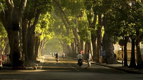 Dự báo thời tiết Hà Nội 3/11: Đêm lạnh, ngày nắng hanh khô