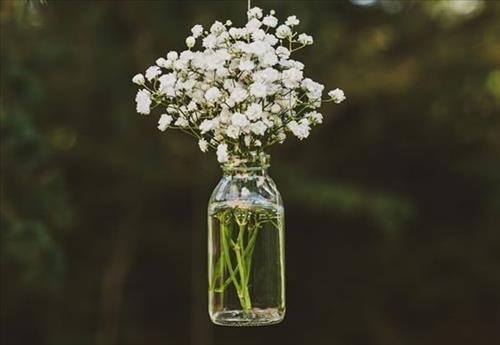 Tử vi Thứ 5 ngày 10/1/2019 của 12 con giáp: Thân trưởng thành, Tuất gặp khó