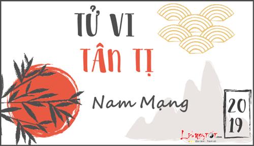 Tử vi 2019 tuổi Tân Tị nam mạng: Nhiều khó khăn, thách thức về học hành, công danh