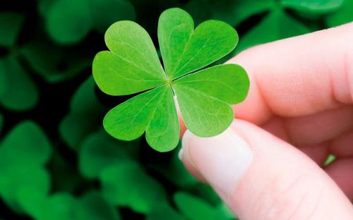 Tử vi đầu năm 2019: Bộ tứ con giáp siêu may mắn, muốn gì được nấy