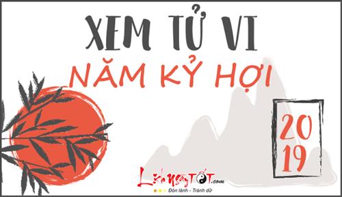 Tử vi năm 2019 Kỷ Hợi: Chi tiết Vận hạn, Tài lộc, Tình duyên, Sự nghiệp cho mọi độ tuổi