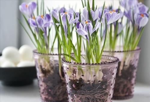 Tử vi Thứ 5 ngày 1/3/2018 của 12 con giáp