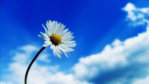 Tử vi thứ 2 ngày 5/3/2018 của 12 con giáp