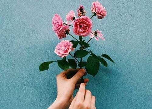Tử vi thứ 2 ngày 26/2/2018 của 12 cung hoàng đạo