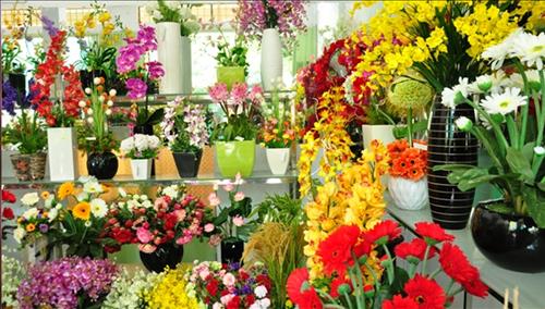 Chọn ngay hoa trưng Tết Bính Ngọ để cả năm 2026 được may mắn, thành công