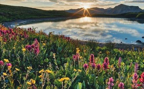 Tử vi tuần mới của 12 cung hoàng đạo (Tuần từ 19 - 25/2/2018)