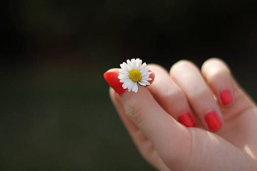 Tử vi thứ 4 ngày 28/3/2018 của 12 con giáp