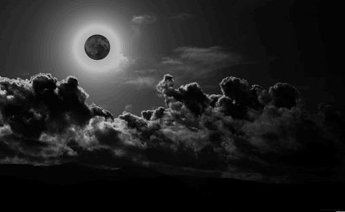 Vận hạn 12 con giáp tháng 4/2018: Sửu đề phòng thị phi, Mùi tiểu nhân đeo bám