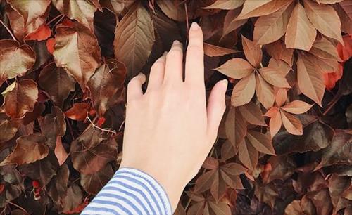 Tử vi Chủ nhật ngày 22/4/2018 của 12 cung hoàng đạo