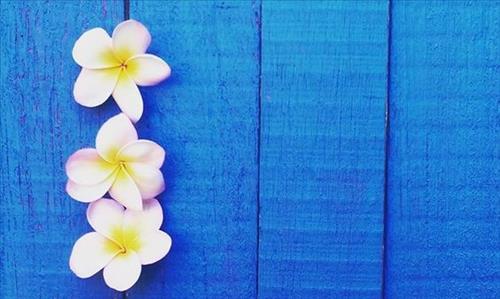 Tử vi Thứ 7 ngày 5/5/2018 của 12 con giáp