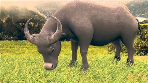 Có nợ mà không chịu trả sẽ phải hối hận hết kiếp này tới kiếp khác