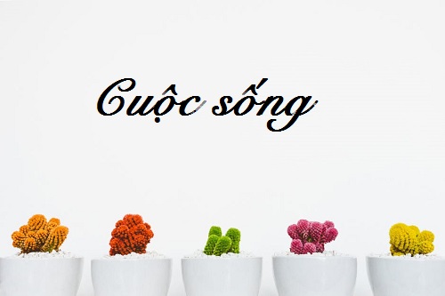 Câu nói hay về cuộc sống, đọc mà thấm thía