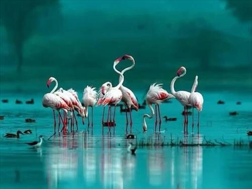 Tử vi Thứ 7 ngày 12/5/2018 của 12 con giáp