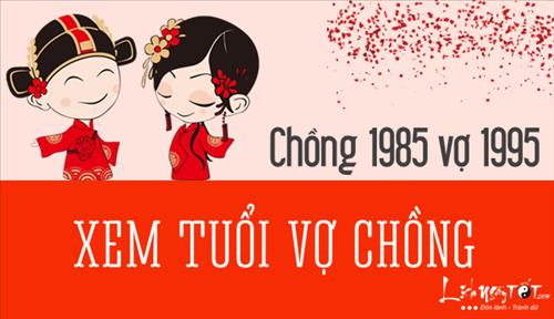 Xem hợp tuổi chồng ẤT SỬU 1985 vợ ẤT HỢI 1995