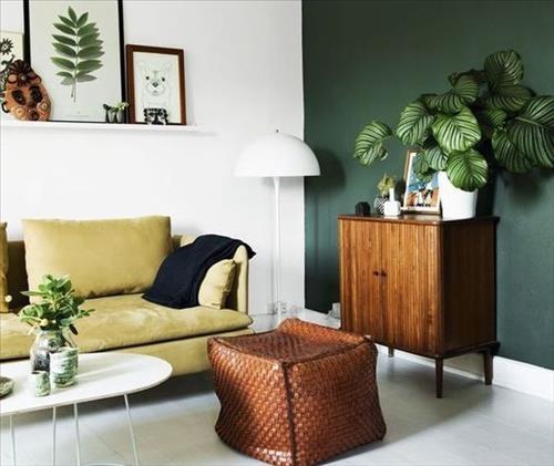 Tử vi Thứ 5 ngày 12/7/2018 của 12 con giáp