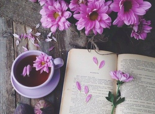 Tử vi Thứ 5 ngày 2/8/2018 của 12 con giáp: Tý rủng rỉnh tiền tiêu, Hợi chớ nản chí