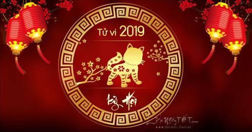 Tử vi tuổi Mão năm Kỷ Hợi 2019: Hưởng trọn Thiên thời, Địa lợi, Nhân hòa