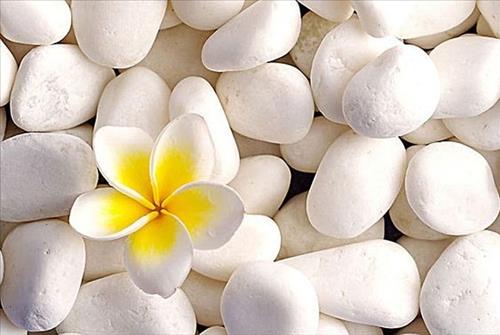 Tử vi Thứ 5 ngày 19/7/2018 của 12 con giáp: Tý ngó lơ kẻ xấu, Ngọ rủng rỉnh tiền tiêu