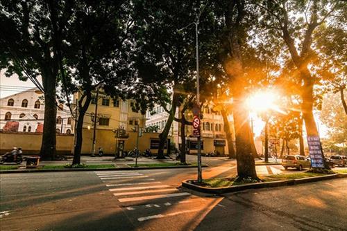 Dự báo thời tiết 3 ngày tới 10/8 - 12/8: Nam Bộ giảm mưa, hửng nắng