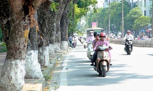 Dự báo thời tiết hôm nay 26/8: Hà Nội mưa rào vào chiều tối và đêm