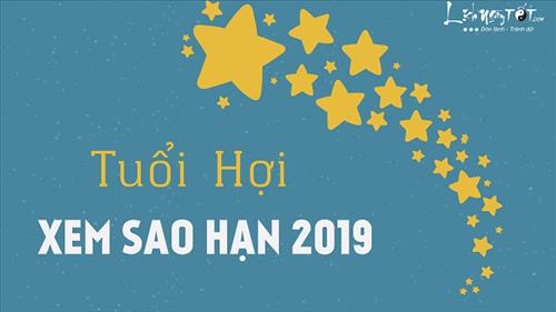 Xem sao hạn 2019 tuổi Hợi: Chi tiết các tuổi Tân Hợi, Kỷ Hợi, Quý Hợi, Đinh Hợi, Ất Hợi