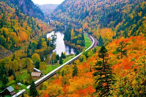 Tử vi Chủ nhật ngày 7/10/2018 của 12 con giáp: Dần lục đục, Thân phát tài