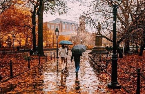Tử vi Thứ 2 ngày 10/9/2018 của 12 cung hoàng đạo: Kim Ngưu bị lừa, Song Tử làm biếng