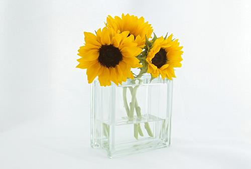 Tử vi Chủ nhật ngày 16/9/2018 của 12 con giáp: Sửu đào hoa, Thìn nhạy cảm