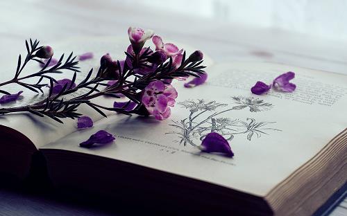 Tử vi Chủ nhật ngày 20/1/2019 của 12 con giáp: Thìn đào hoa, Sửu phát tài