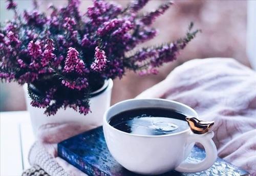Tử vi thứ 3 ngày 12/2/2019 của 12 con giáp: Tý bực mình, Dần nhiều tiền