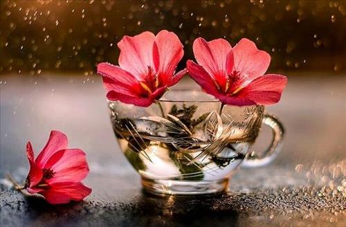 Tử vi Thứ 2 ngày 18/2/2019 của 12 cung hoàng đạo: Nhân Mã tỉnh táo, Thiên Bình xuất sắc