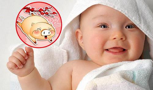 Tuổi Hợi sinh con năm tuổi 2019 có tốt không?