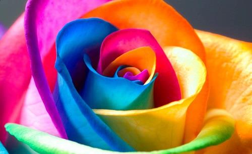 MÀU SẮC PHONG THỦY 2019 cho 12 con giáp tiền đầy túi mà tình đầy tim, ngồi im cũng có người cất nhắc