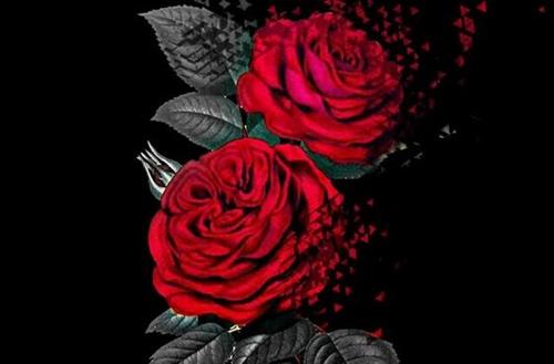 Tử vi Thứ 6 ngày 11/1/2019 của 12 cung hoàng đạo: Hổ Cáp mụ mị, Bảo Bình bất ổn