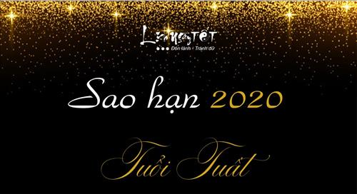 Xem SAO HẠN 2020 tuổi Tuất: Đầy đủ các tuổi Mậu Tuất, Nhâm Tuất, Canh Tuất, Bính Tuất, Giáp Tuất