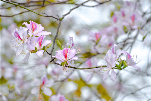 Tử vi thứ 4 ngày 23/10/2019 của 12 con giáp: Dần nên bình tĩnh, Ngọ đón tình yêu