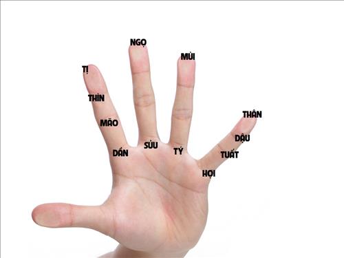 Giới thiệu cách tính Can Chi trên bàn tay vừa chính xác vừa đơn giản