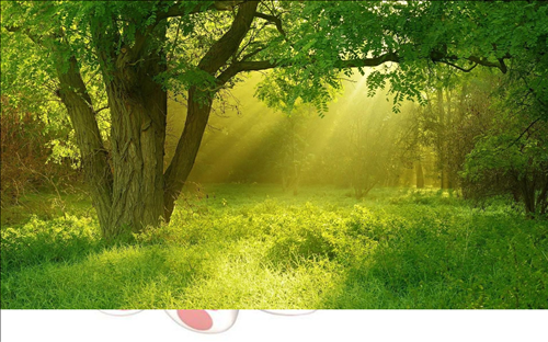 Tử vi Chủ nhật ngày 27/10/2019 của 12 con giáp: Dậu nhiều tiền, Sửu có tất cả