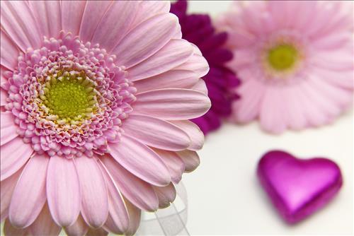 Tử vi thứ 6 ngày 8/11/2019 của 12 con giáp: Dậu gặp rắc rối, Hợi luôn may mắn