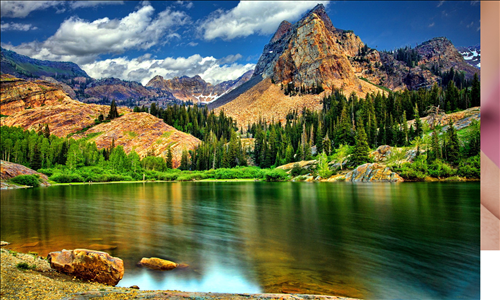 Tử vi chủ nhật ngày 3/11/2019 của 12 con giáp: Tị kiếm tiền tốt, Tuất tình cảm khó thành