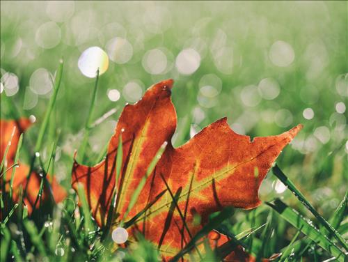 Tử vi Thứ 7 ngày 16/11/2019 của 12 cung hoàng đạo: Thiên Bình phá cách, Nhân Mã rối loạn
