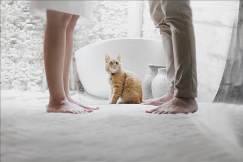 Top 4 cung hoàng đạo đào hoa tuần mới (18-24/11) sẵn sàng đón tình yêu