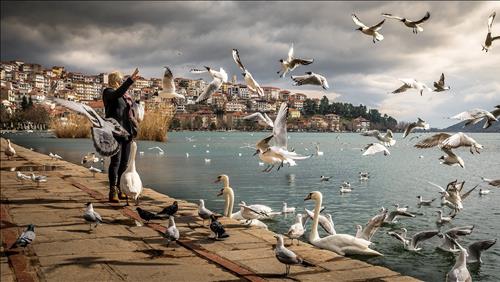 Tử vi thứ 7 ngày 23/11/2019 của 12 con giáp: Tý thuận lợi, Sửu suôn sẻ