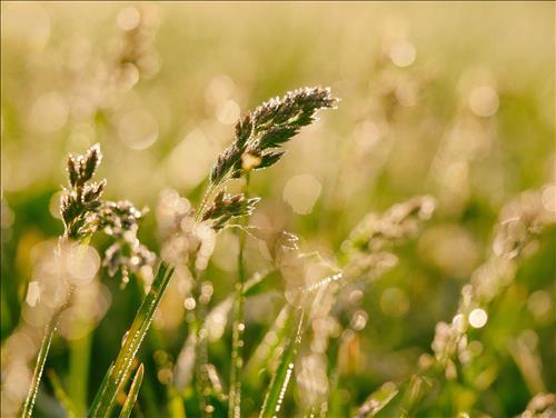 Tử vi Thứ 7 ngày 7/12/2019 của 12 cung hoàng đạo: Thiên Bình hoài niệm, Song Tử bồn chồn