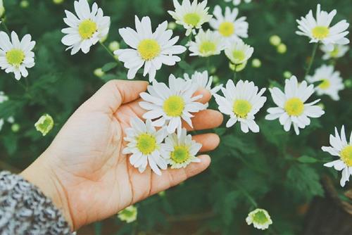 Tử vi Chủ nhật ngày 15/12/2019 của 12 con giáp: Ngọ không lo, Hợi mệt mỏi