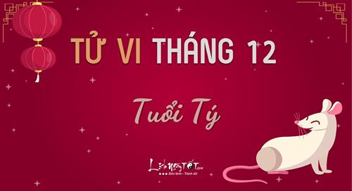 Tử vi tuổi Tý tháng 12/2019 âm lịch: Thách thức và cơ hội song hành